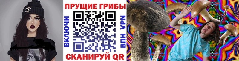 Псилоцибиновые грибы ЛСД  Щёлково 